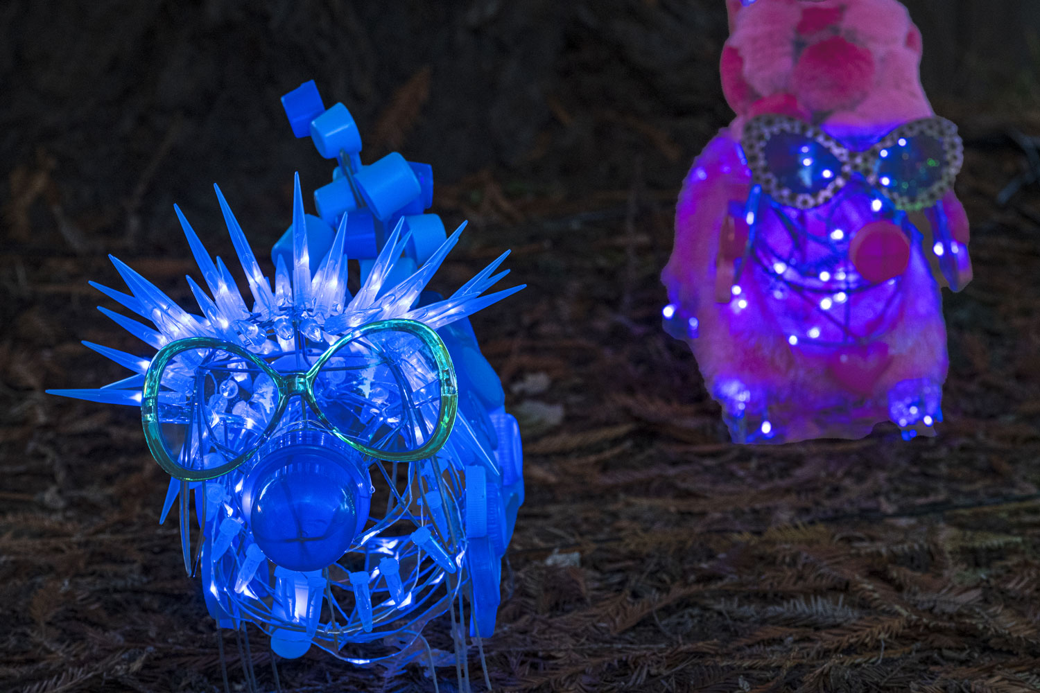 FOR THE LOVE OF WIENERS